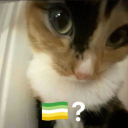 jackdawandicarus avatar