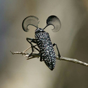 jackhuang1997 avatar