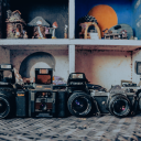 jackiegreybard avatar