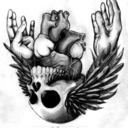 jacknapir avatar