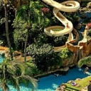 jacko-as-a-pun avatar