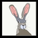 jackrabbitwoman avatar