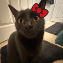 jackstauberismydaddy avatar