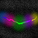 jade-cypher618 avatar