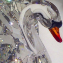 jade-loves-dior avatar