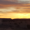 jaded-jewelry avatar