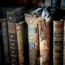 jadedeverafters avatar