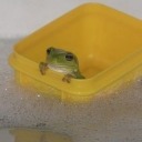 jadieflavouredcoffeee avatar