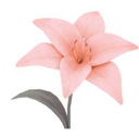 jadounettelalicorne-blog avatar