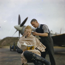 jagkingofftojalex avatar