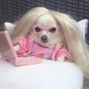 jake-marisnick avatar