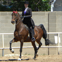 jakethesnake2594 avatar