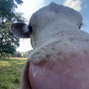 jakies-dziwne-cos avatar