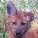 jakotasspouse avatar