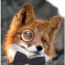 jam-fox avatar