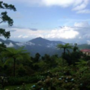 jamaicaismyplayground avatar