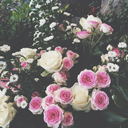 jamais-pour-toujours avatar