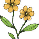 jamajkausername avatar