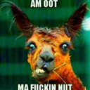 jamesbarton123321 avatar