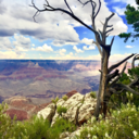 jamesjameson422 avatar