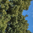 jamesonrs-blog avatar