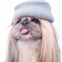 jamesstjames-blog avatar