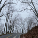 jamie-consolino avatar