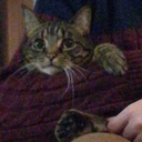 jamie-jim-jam-blog avatar