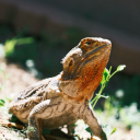 jamiemooncake avatar