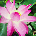 janedoeisdead-blog1 avatar