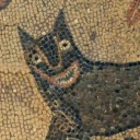 janira-thelynx avatar