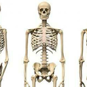 jankys-resources4art avatar