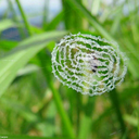 jannming-123-blog avatar