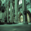 janrogozinski avatar