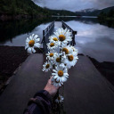 januarygloom2summerdaze avatar