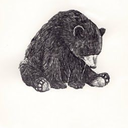 januaryjaguar avatar