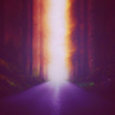 januarylightbringer avatar