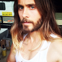 jaredletobulge avatar