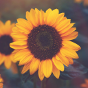 jasabelleflames avatar