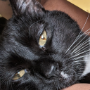 jasfromstatefarm avatar