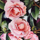 jasminelightness avatar