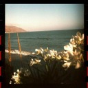 jasminesthoughtss avatar