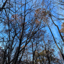 jasmins-words avatar