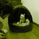 jasontello-blog avatar