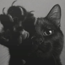 jasonvanhalen avatar