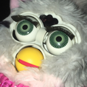 jasper-furby avatar