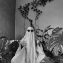 jatamehomseks avatar