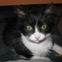 javierzuniga77 avatar