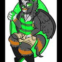 jay-birbpup avatar