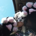 jayartngamingyt avatar